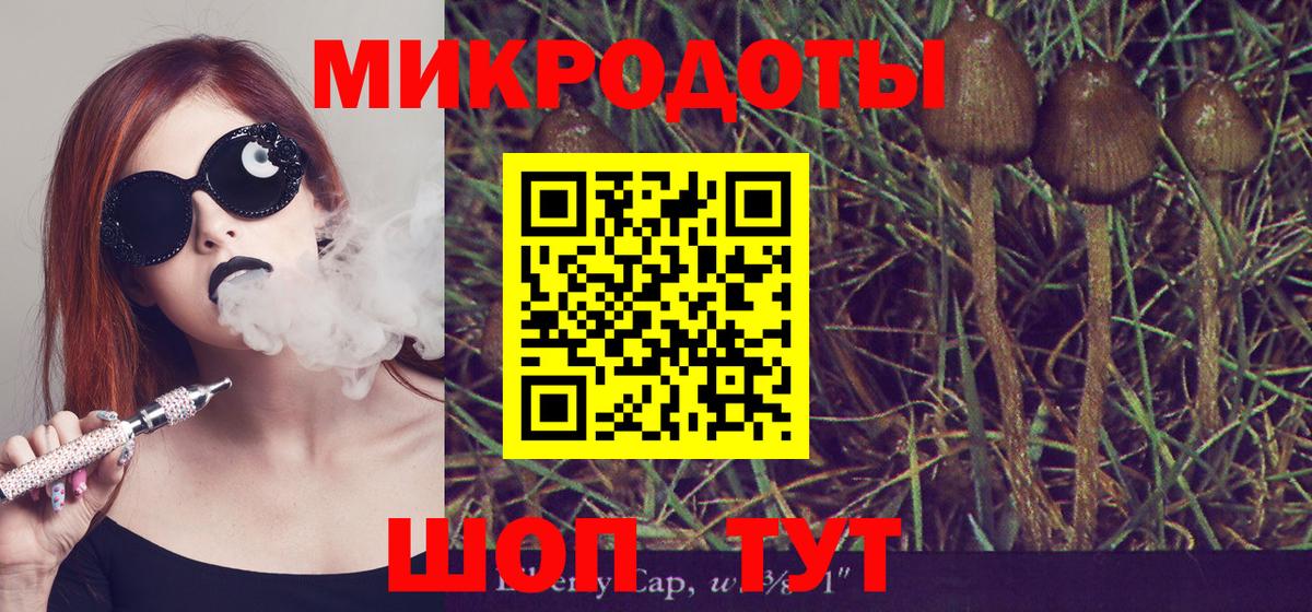 Псилоцибиновые грибы GOLDEN TEACHER  Вход с VPN  Клинцы 