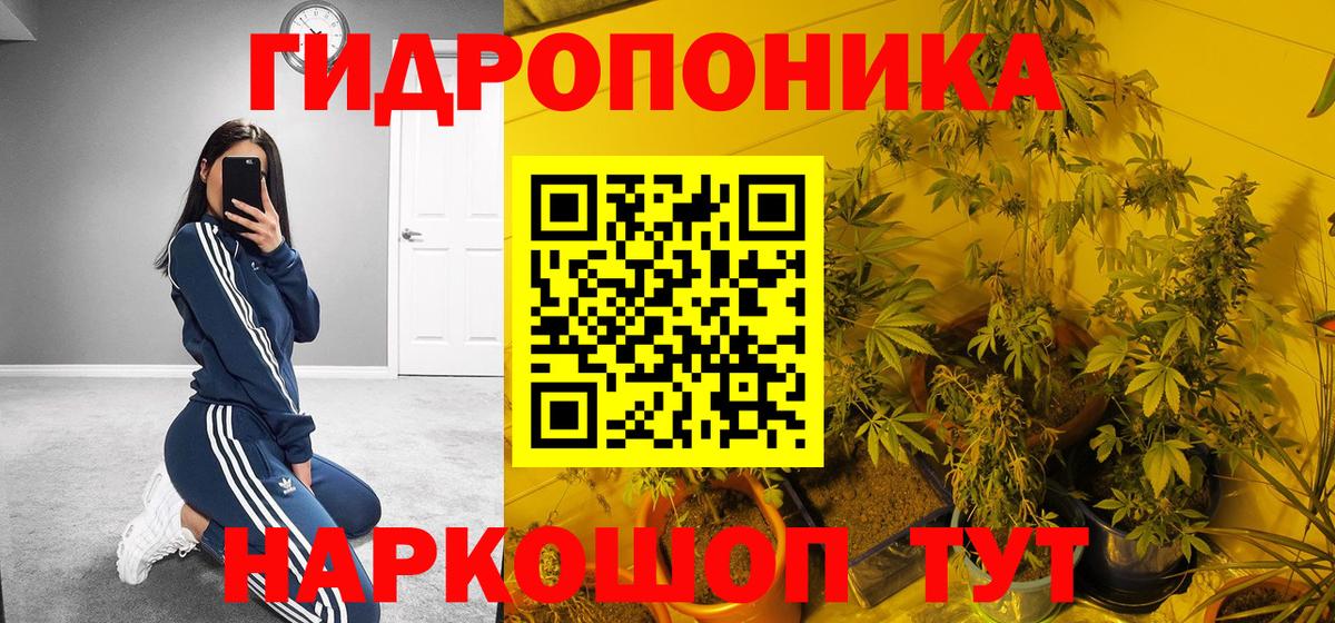 Клинцы  Марихуана индика  Марихуана гибрид  Канабис марихуана  Вход с VPN  Бошки марихуана SATIVA & INDICA 